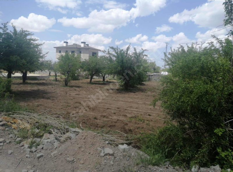 ...SAKAR ÇİFTLİĞİ KÖŞE PARSEL...