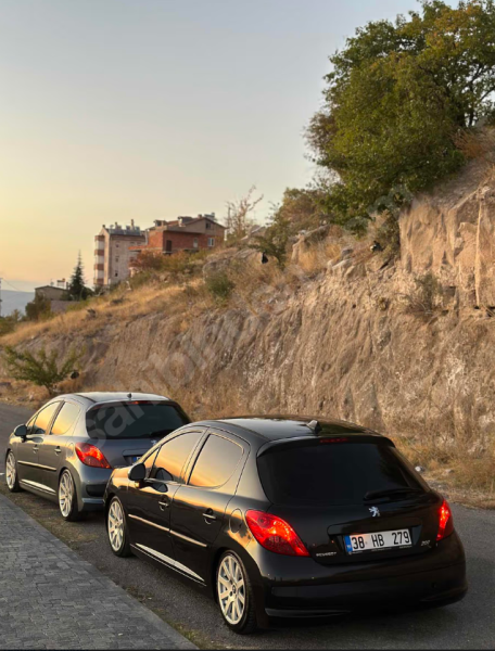 SAHİDEN DEĞİŞENSİZ BAKIMLI 207