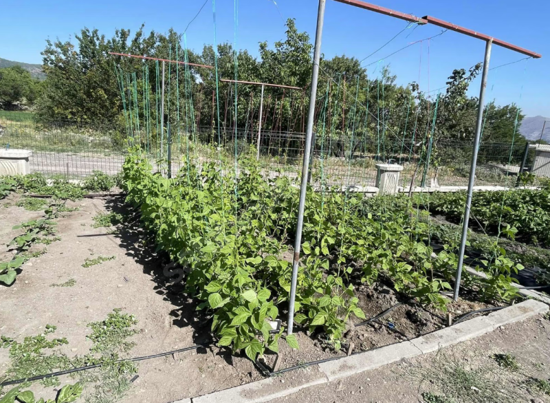 BEGENDİK SAKAR da MUSTAKİL EV
