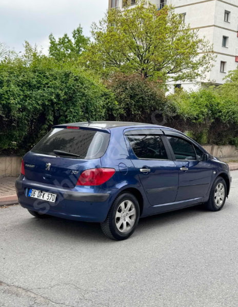 TERTEMİZ 307
