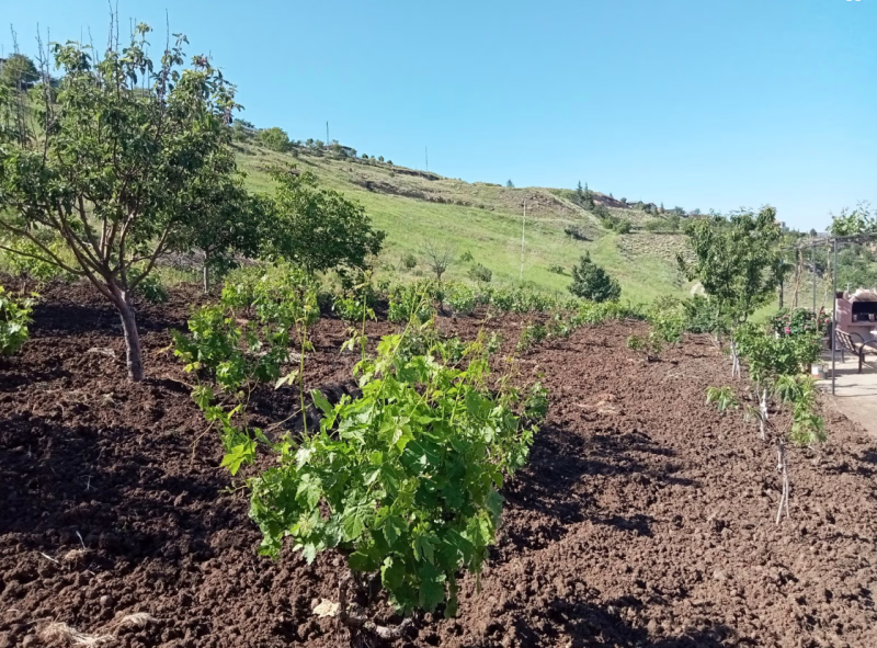 Kuşçu marinada baraj manzaralı satılık müstakil ev
