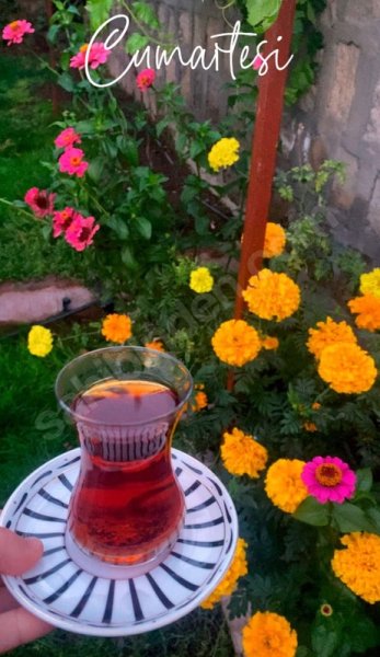Hisarcık ta Sahibinden Satılık Doğası Mükemmel