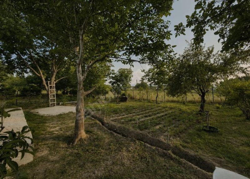DOĞAYLA İÇ İÇE HUZURLU YAŞAM FIRSATI (860 M2 TEK TAPU 1+1 EVLİ)