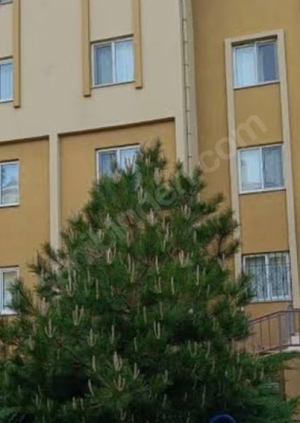 TOKİ 1. ETAP FULL YAPILI 3+1 DAİRE