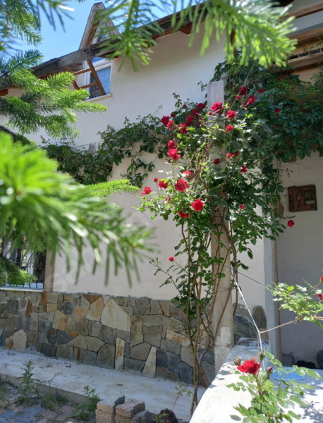 HİSARCIK'TA KAÇIRILMAYACAK BAĞ EVİ FIRSATI