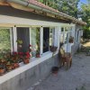 Akkışla merkezde 14 bin M2 bahçeli EV