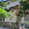 HİSARCIK'TA KAÇIRILMAYACAK BAĞ EVİ FIRSATI